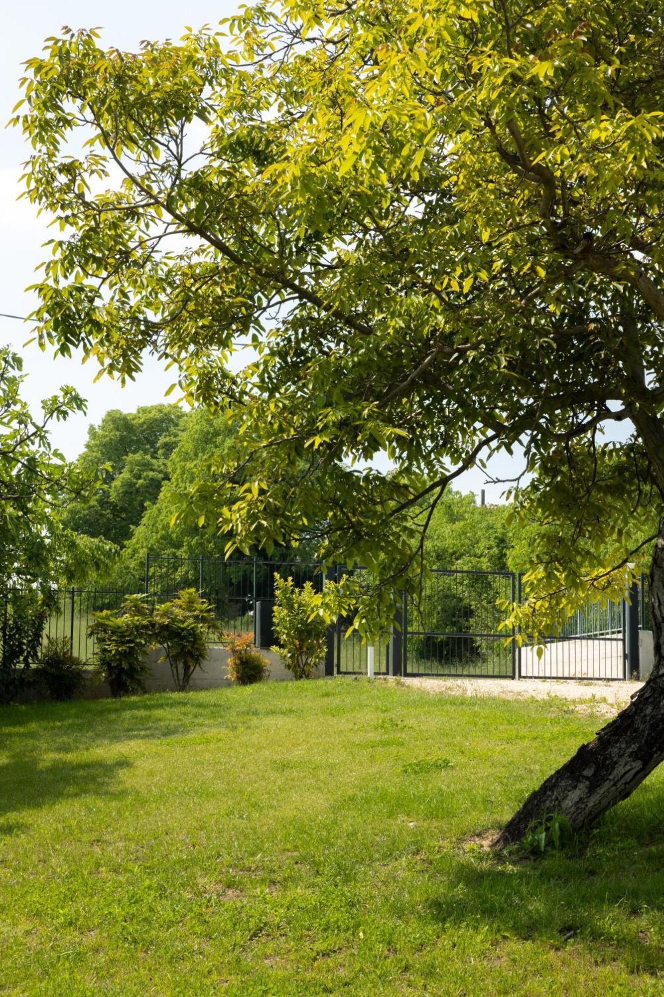 Bed And Breakfast Le Giale Кастельнуово-дель-Гарда Екстер'єр фото